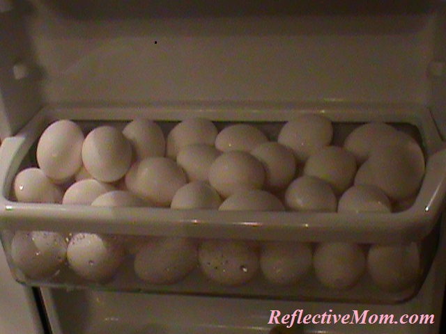 Fresh Eggs Stored in Refrigerator Door